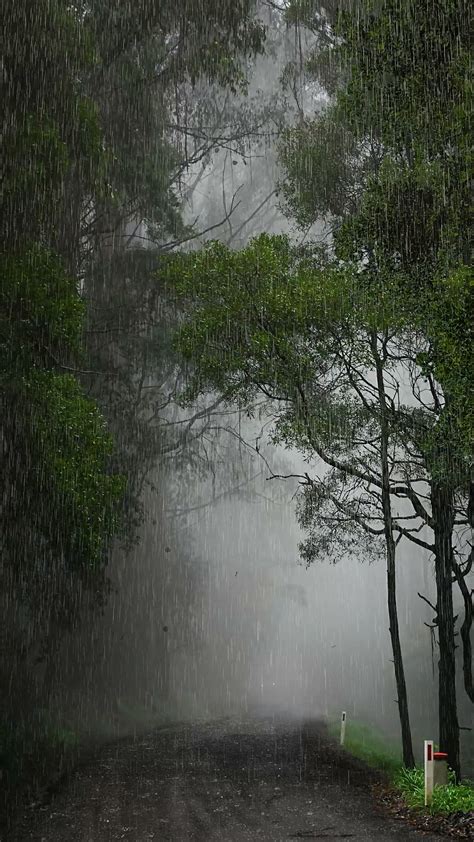 下雨天圖片|300 多张免费的“下雨天”和“雨”照片